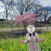 ヒメ日記 2025/03/21 20:42 投稿 ふみ 人妻小旅行