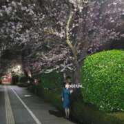 ヒメ日記 2025/04/01 17:22 投稿 ふみ 人妻小旅行