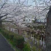 ヒメ日記 2025/04/05 23:42 投稿 ふみ 人妻小旅行