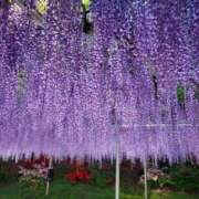 ヒメ日記 2025/04/29 22:16 投稿 ふみ 人妻小旅行
