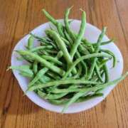 ヒメ日記 2025/06/16 18:52 投稿 ふみ 人妻小旅行