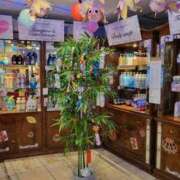 ヒメ日記 2025/06/26 18:57 投稿 ふみ 人妻小旅行