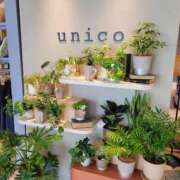 ヒメ日記 2025/06/28 22:37 投稿 ふみ 人妻小旅行