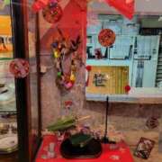 ヒメ日記 2025/06/29 18:37 投稿 ふみ 人妻小旅行