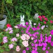 ヒメ日記 2025/07/29 18:27 投稿 ふみ 人妻小旅行