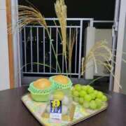 ヒメ日記 2025/10/07 22:47 投稿 ふみ 人妻小旅行