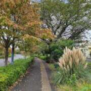 ヒメ日記 2025/10/14 18:07 投稿 ふみ 人妻小旅行