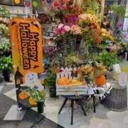 ヒメ日記 2025/10/31 21:17 投稿 ふみ 人妻小旅行