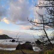 ヒメ日記 2025/11/04 19:57 投稿 ふみ 人妻小旅行