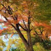 ヒメ日記 2025/11/23 21:07 投稿 ふみ 人妻小旅行