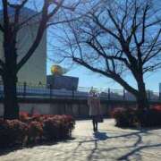 ヒメ日記 2026/01/09 21:07 投稿 ふみ 人妻小旅行