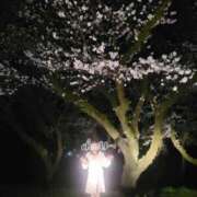 ふみ 出勤いたしました👼 人妻小旅行