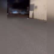 ヒメ日記 2024/12/06 10:29 投稿 せら VIVIDCREW十三店