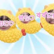 ヒメ日記 2026/03/17 10:25 投稿 せら VIVIDCREW十三店