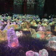 ヒメ日記 2026/01/13 09:25 投稿 りんこ 大阪ミナミ人妻援護会