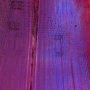 ヒメ日記 2026/01/13 10:15 投稿 りんこ 大阪堺人妻援護会