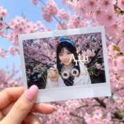 愛沢　ありす 桜 イラマチーオ新宿店