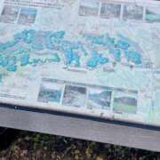 ヒメ日記 2025/06/04 15:20 投稿 鴨宮みなと ニューハーフヘルスLIBE横浜店