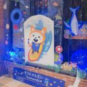 ヒメ日記 2025/09/24 16:13 投稿 鴨宮みなと ニューハーフヘルスLIBE横浜店