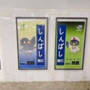 ヒメ日記 2025/09/29 12:58 投稿 鴨宮みなと ニューハーフヘルスLIBE横浜店