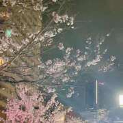 ヒメ日記 2026/03/27 11:25 投稿 鴨宮みなと ニューハーフヘルスLIBE横浜店