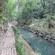 ヒメ日記 2026/04/19 10:41 投稿 鴨宮みなと ニューハーフヘルスLIBE横浜店