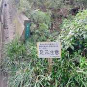 ヒメ日記 2026/04/19 11:04 投稿 鴨宮みなと ニューハーフヘルスLIBE横浜店