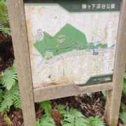 ヒメ日記 2026/06/20 06:22 投稿 鴨宮みなと ニューハーフヘルスLIBE横浜店