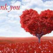 ヒメ日記 2024/12/12 19:38 投稿 かなで(昭和42年生まれ) 熟年カップル名古屋～生電話からの営み～