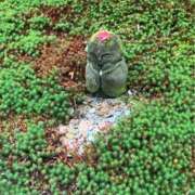 ヒメ日記 2025/01/09 07:42 投稿 かなで(昭和42年生まれ) 熟年カップル名古屋～生電話からの営み～