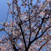 ヒメ日記 2025/03/22 21:35 投稿 かなで(昭和42年生まれ) 熟年カップル名古屋～生電話からの営み～