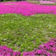 ヒメ日記 2025/05/12 14:12 投稿 かなで(昭和42年生まれ) 熟年カップル名古屋～生電話からの営み～