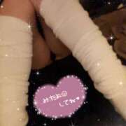 ヒメ日記 2025/04/16 12:19 投稿 トウカ★濃厚プレイをご堪能下さい ドMなバニーちゃん 名古屋・池下店