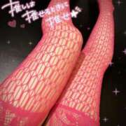 ヒメ日記 2025/05/07 09:17 投稿 トウカ★濃厚プレイをご堪能下さい ドMなバニーちゃん 名古屋・池下店