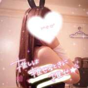 ヒメ日記 2025/09/23 22:07 投稿 トウカ★濃厚プレイをご堪能下さい ドMなバニーちゃん 名古屋・池下店