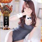 ヒメ日記 2025/09/29 23:56 投稿 トウカ★濃厚プレイをご堪能下さい ドMなバニーちゃん 名古屋・池下店