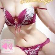 ヒメ日記 2025/11/10 10:17 投稿 トウカ★濃厚プレイをご堪能下さい ドMなバニーちゃん 名古屋・池下店