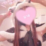 ヒメ日記 2025/11/19 12:27 投稿 トウカ★濃厚プレイをご堪能下さい ドMなバニーちゃん 名古屋・池下店