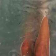 ヒメ日記 2026/03/21 08:05 投稿 こころ 横浜 風俗 妻がオンナに変わるとき