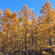 ヒメ日記 2024/12/12 18:49 投稿 るな チェックイン素人専門大人女子