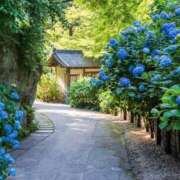 るな 出勤してます✨💖 チェックイン素人専門大人女子