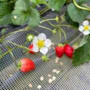 ヒメ日記 2025/05/26 22:07 投稿 永田ゆぬ 五十路マダム 博多店