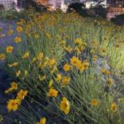 ヒメ日記 2025/06/08 18:57 投稿 永田ゆぬ 五十路マダム 博多店