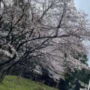 永田ゆぬ 春 五十路マダム 博多店