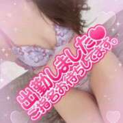 ヒメ日記 2024/03/25 14:20 投稿 あおい♡圧倒的な美エロBODY♡ 即生専門店　ゴッドパイ