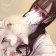 ヒメ日記 2025/05/24 18:09 投稿 りおん とある風俗店♡やりすぎさーくる新宿大久保店♡で色んな無料オプションしてみました