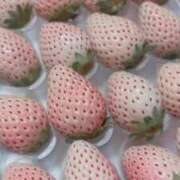 ヒメ日記 2025/03/27 20:05 投稿 しおり すぐ舐めたくて学園立川校〜舐めたくてグループ〜