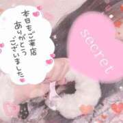 ヒメ日記 2025/02/04 01:58 投稿 ナミガイ　波貝 女の子市場