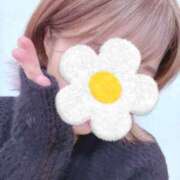 ヒメ日記 2025/10/25 17:21 投稿 あいか ストロベリーハウス