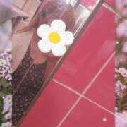 ヒメ日記 2026/05/03 15:23 投稿 あいか ストロベリーハウス